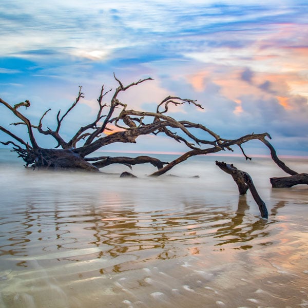 Birding Hot Spots of Georgia’s Golden Isles 9