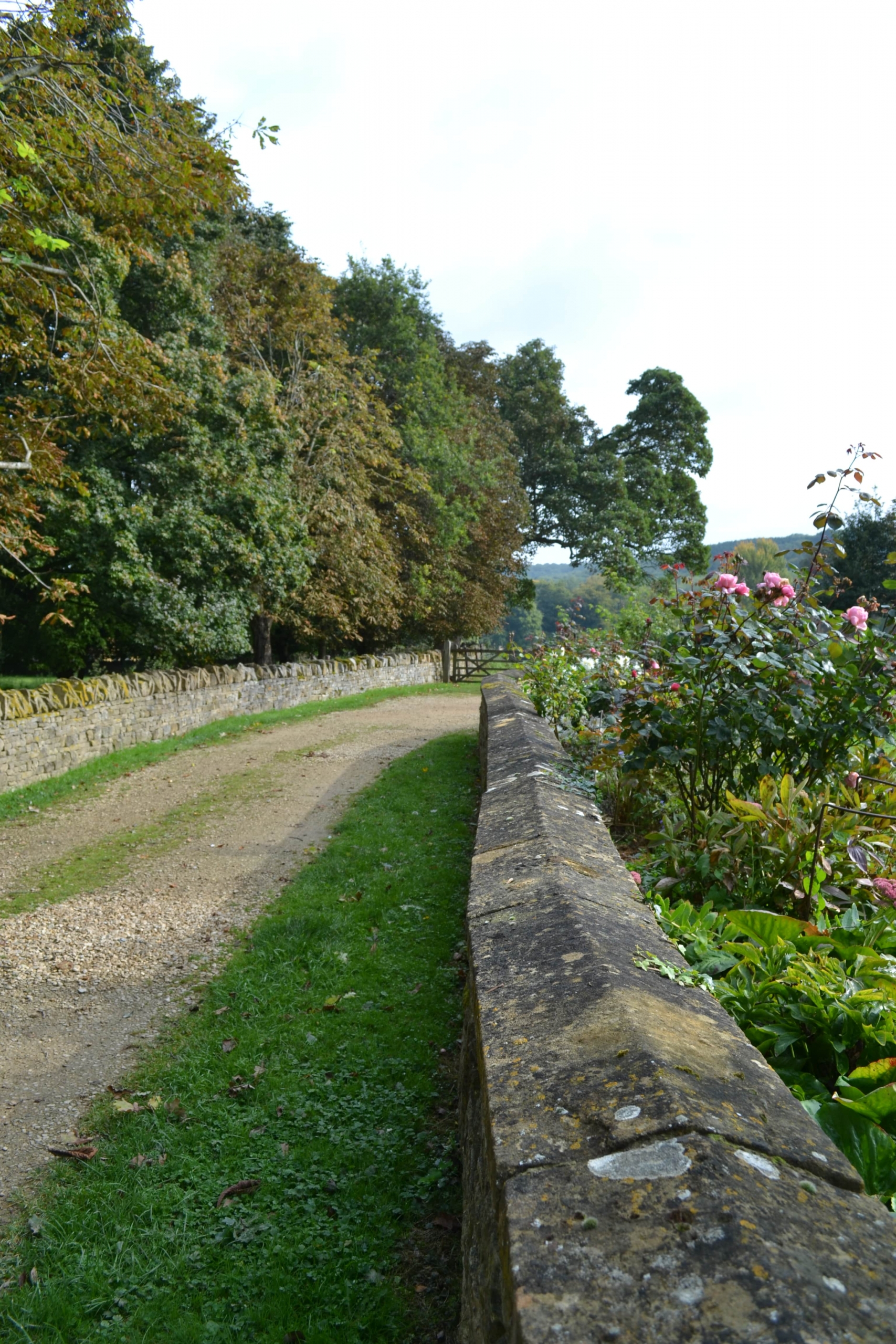 Cotswolds trail