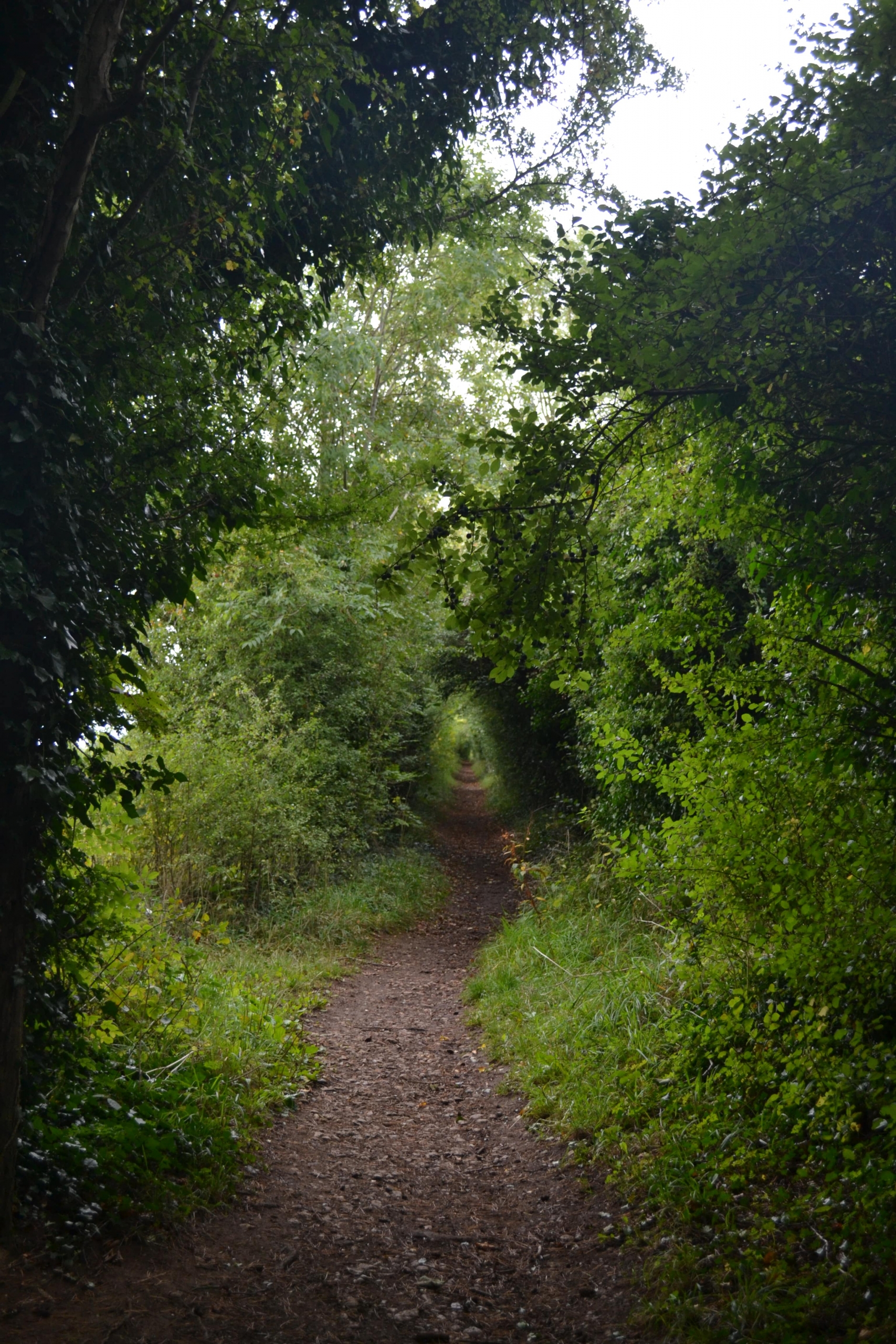 Cotswolds trail