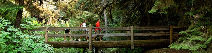Washington: Olympic Peninsula 1