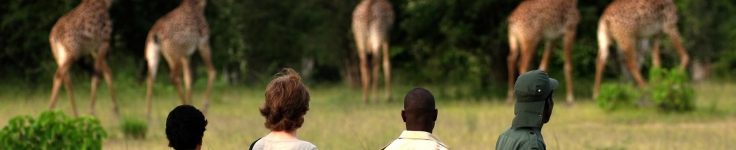 Zambia 2