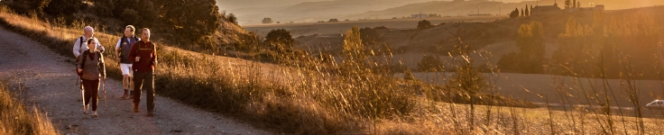 Four people hiking during sunset in El Camino de Santiago
