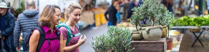 Two travelers looking at fresh produce at a local market in Provence, France