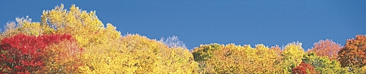 United States 2
