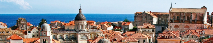 Top shot of homes in The Dalmatian Coast