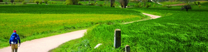 Spain: Classic Camino de Santiago 2