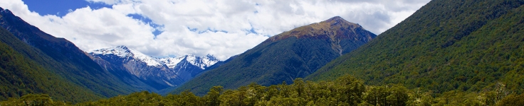 New Zealand 2