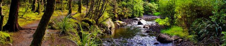 New Zealand 1