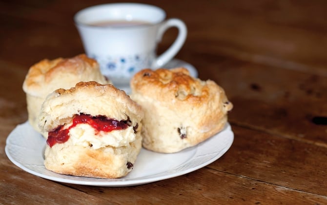 tea and biscuits on a white plate