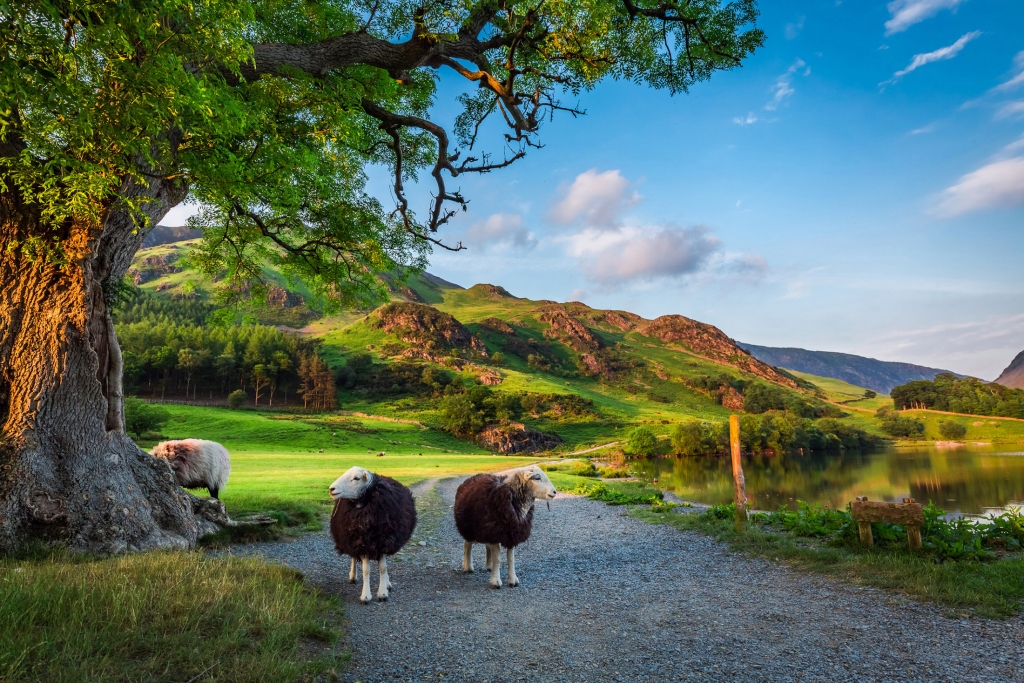 lake district guided walking tours