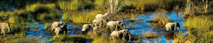 Botswana 1