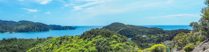 hiker on a scenic path with views of a bay in the distance, in New Zealand