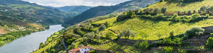 Portugal: Porto, Minho & Douro Valley 4