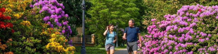 Couple walking along a path surrounded by flowers in Sweden