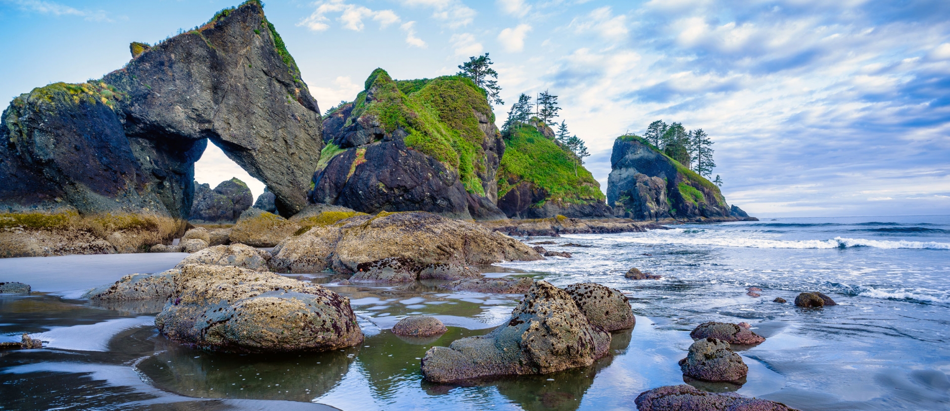 Beach view with rock formations in Olympic National Park