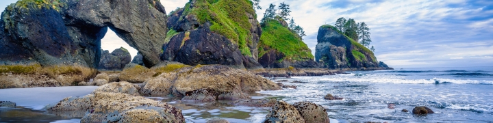 Beach view with rock formations in Olympic National Park