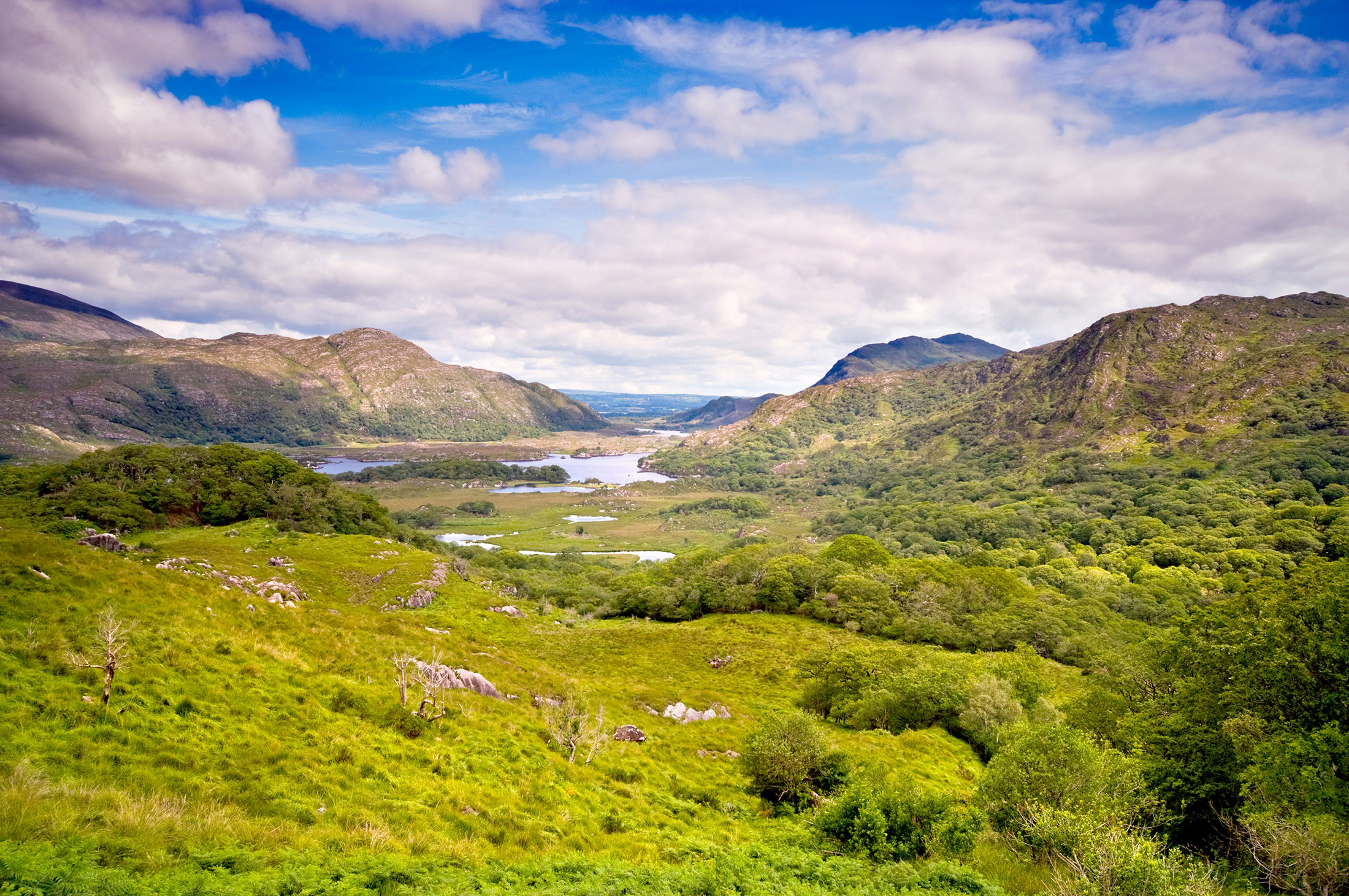 Reviews Ireland Cork, Killarney & Dingle Country Walkers