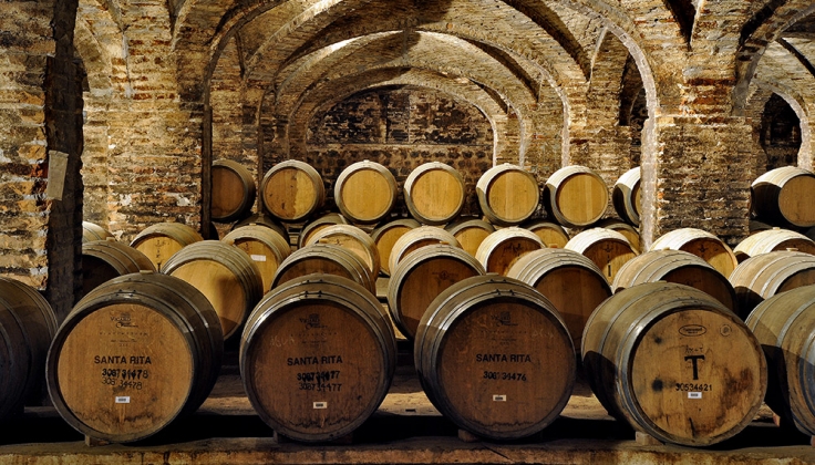 wine barrels in a cellar