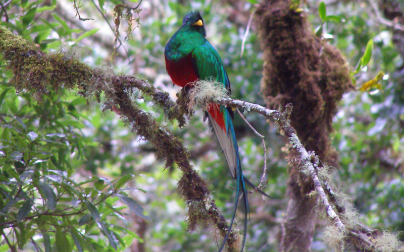 Costa-Rica