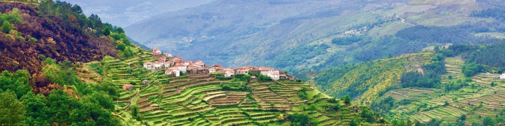 Scenic view of the Douro Valley in Portugal