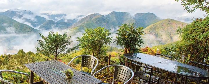 Finding Your Zen in Japan