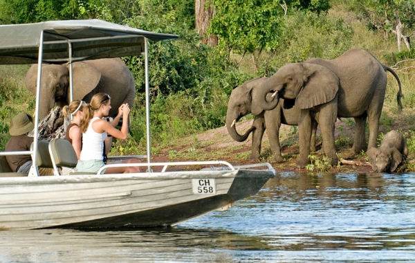 Dinner with a View in Botswana