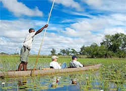 Botswana Safari