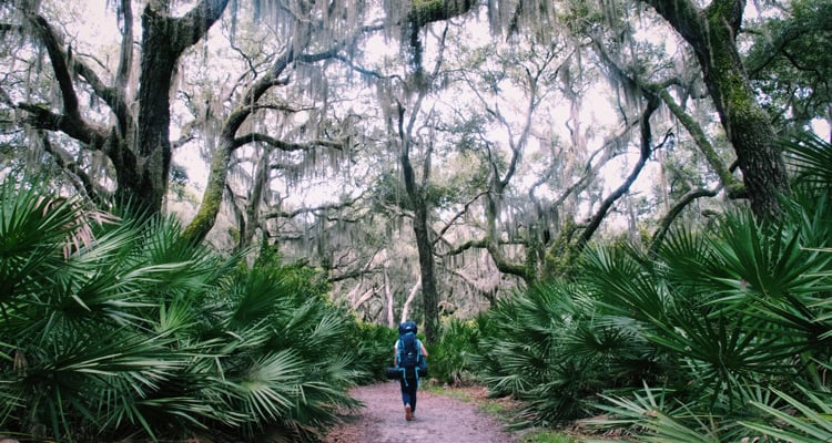 escape into nature on little st simons island