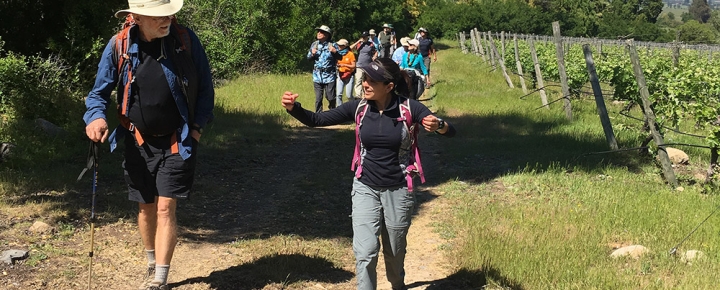 Experience Country Walkers 3