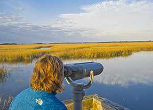 Birding in Goose Pond