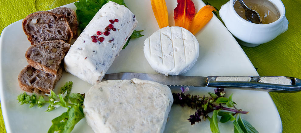 goat cheese