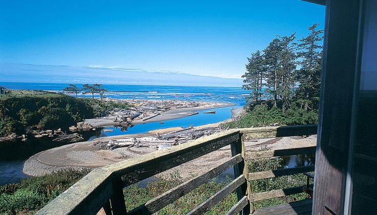 view overlooking trees and beaches to the ocean from a high vantage point