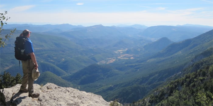 mount ventoux provence