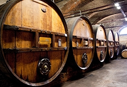 piedmont-wine-casks