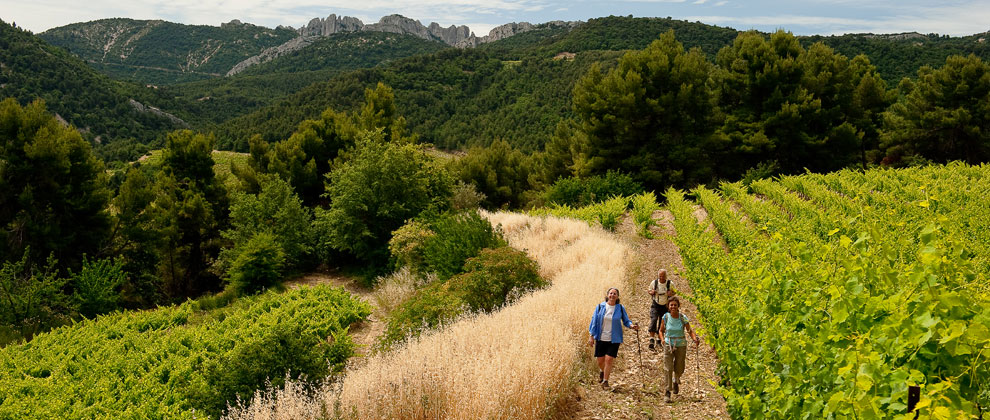 Country Walkers Walking