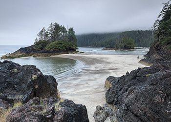 Vancouver Coastline