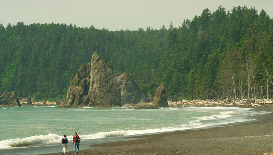 washington-coastline