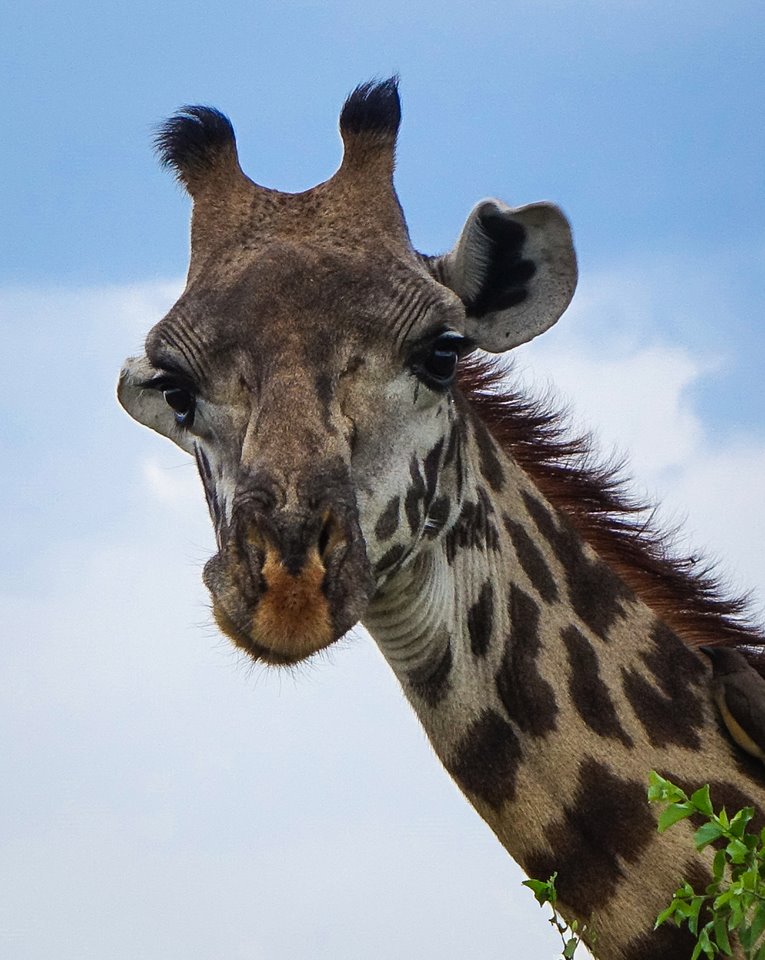 western serengeti, tanzania