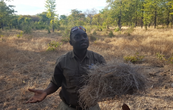 Zambia Safari: Exclusive Camps & Bush Walks