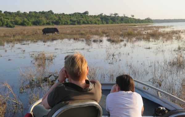 Botswana & Zambia Safari: Victoria Falls to the Okavango Delta