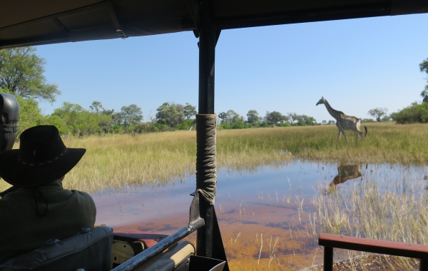 Botswana & Zambia Safari: Victoria Falls to the Okavango Delta