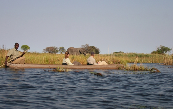 Botswana & Zambia Safari: Victoria Falls to the Okavango Delta