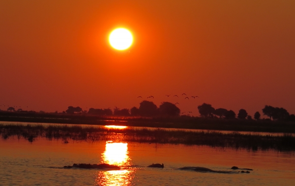 Botswana & Zambia Safari: Victoria Falls to the Okavango Delta