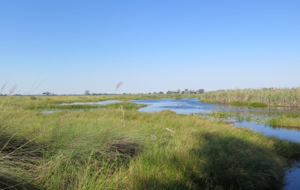 Botswana & Zambia Safari: Victoria Falls to the Okavango Delta
