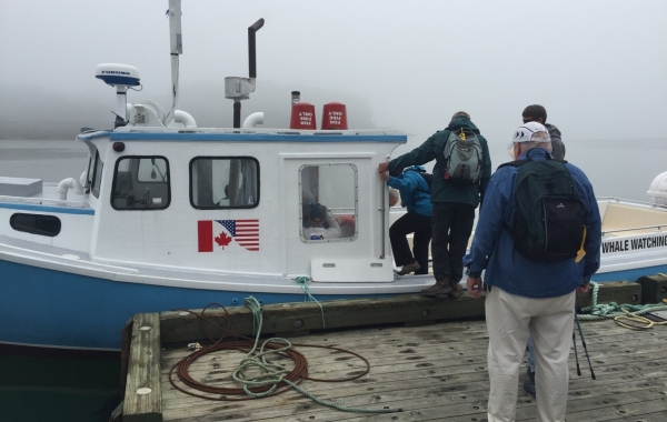 New Brunswick: Bay of Fundy & Campobello Island