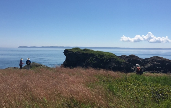 New Brunswick: Bay of Fundy & Campobello Island