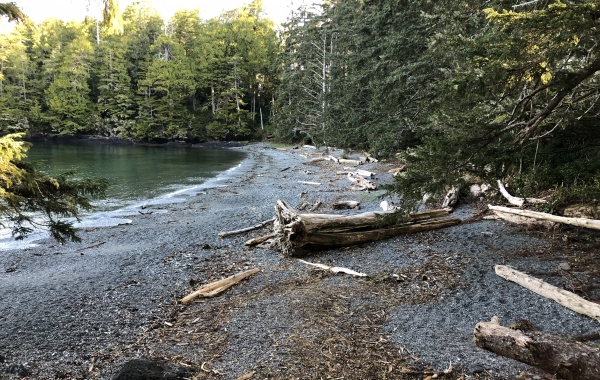 British Columbia: Vancouver Island
