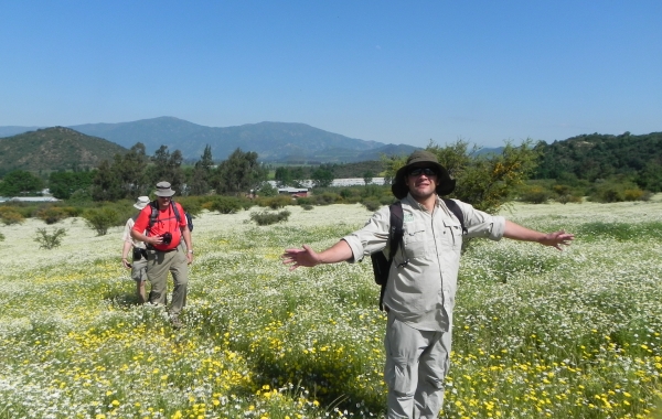 Chile: Wine Country & the Coast