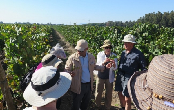 Chile: Wine Country & the Coast