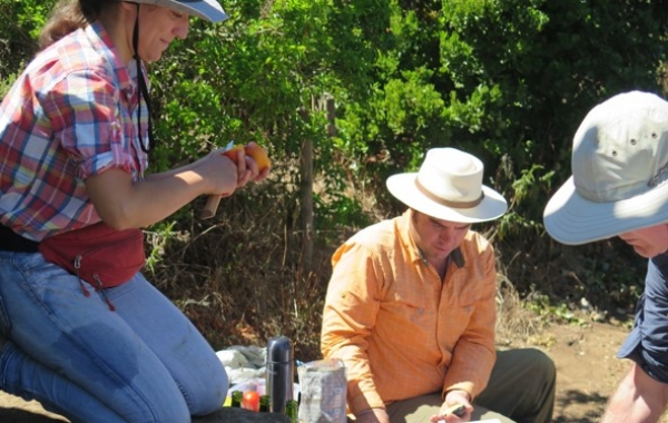 Chile: Wine Country & the Coast